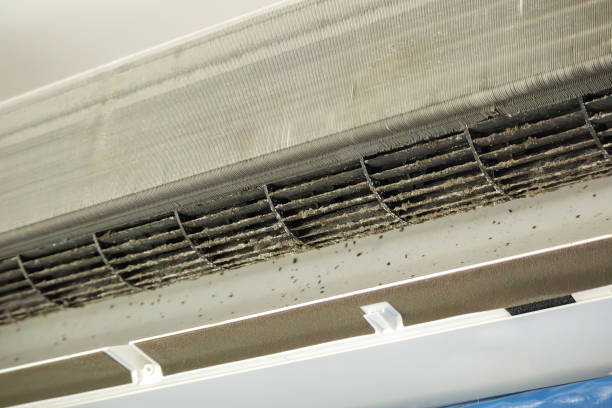 Best Air Duct Sanitizing Services  in Roslyn, NY